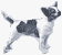 Picture of a Chihuahua  Dog