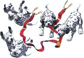 Picture of dalmatian puppies playing with a pair of braces
